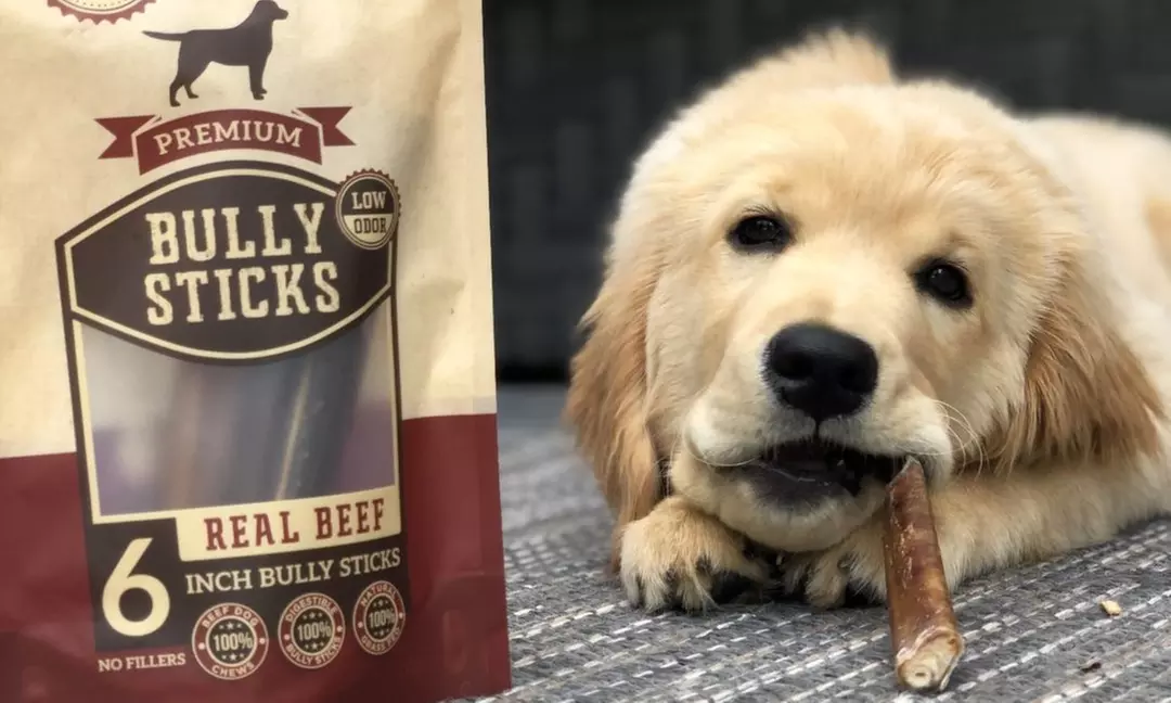 24 Pieces of 6", or 12 Pieces of 12" Odor-Free Bully Sticks from Bully Bunches (Up to 42% Off) - Second Medium