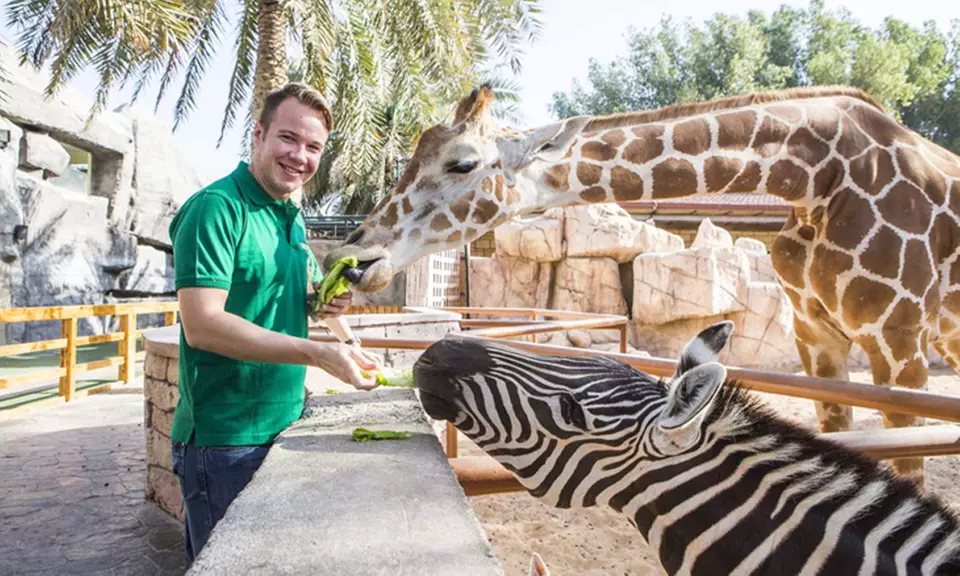 Unleash Adventure: Zoo Entrance + 2 Exciting Activities for 1 or 2!