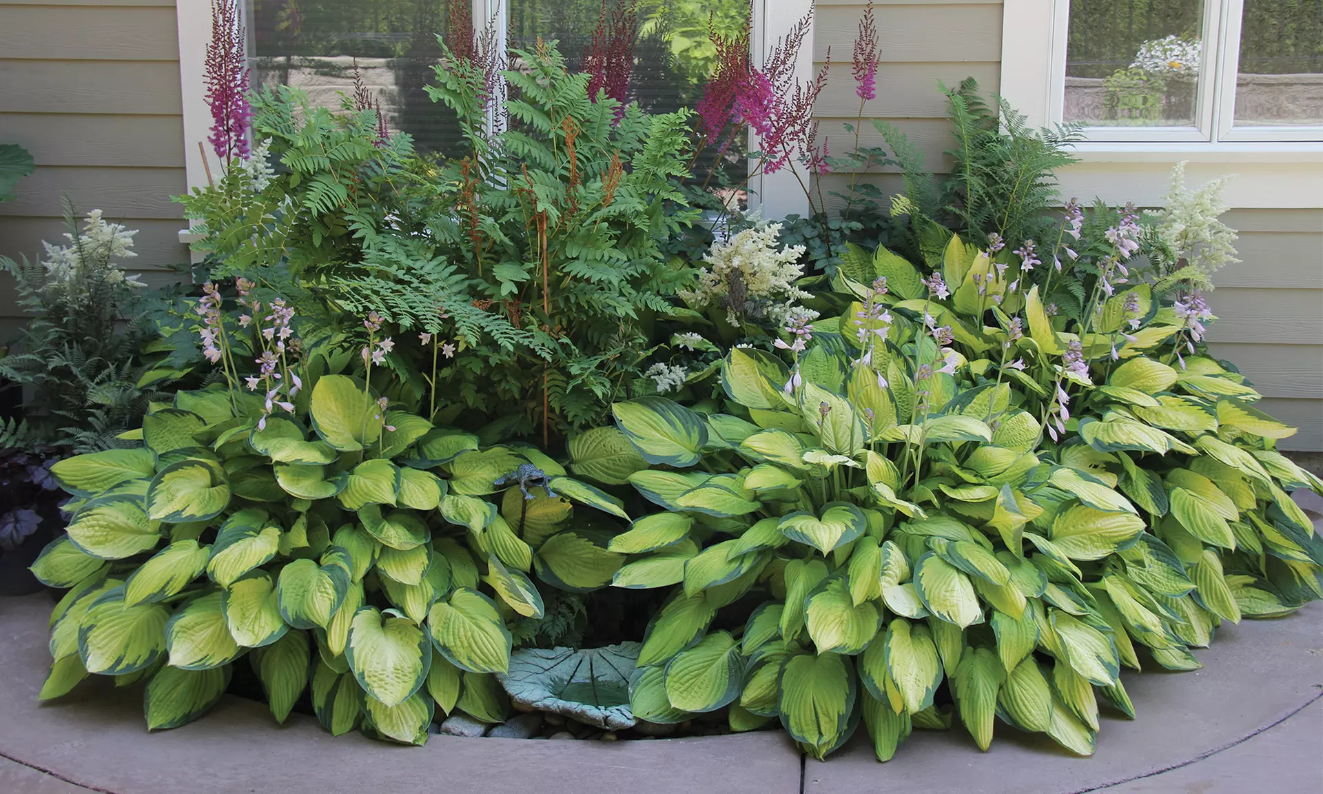Mixed Hosta Plants (9-, 12-, 18-Pack)     - Primary Image