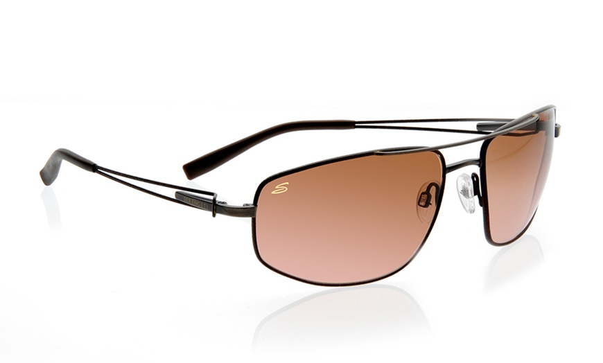 Image 17: Men's Serengeti Sunglasses