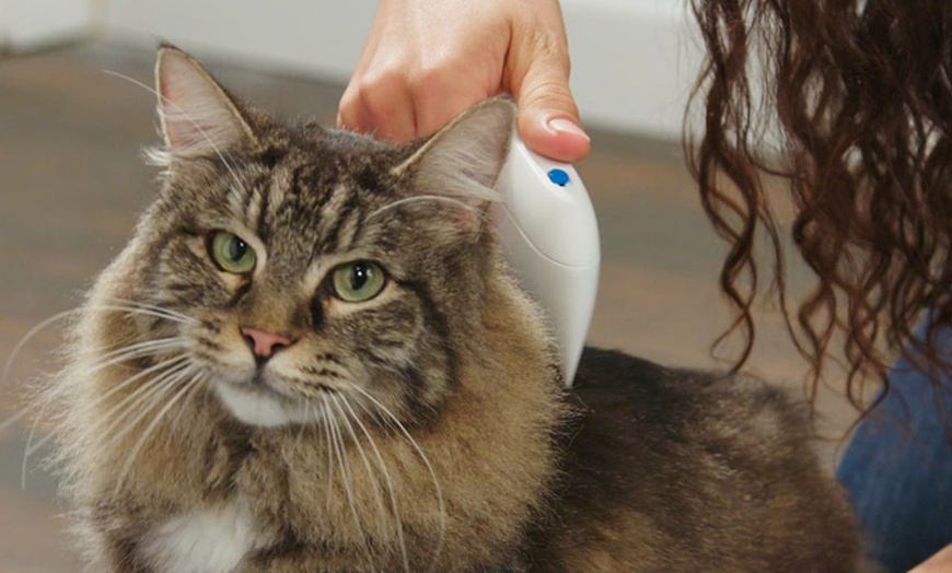 Image 4: Electric Flea Comb for Pets