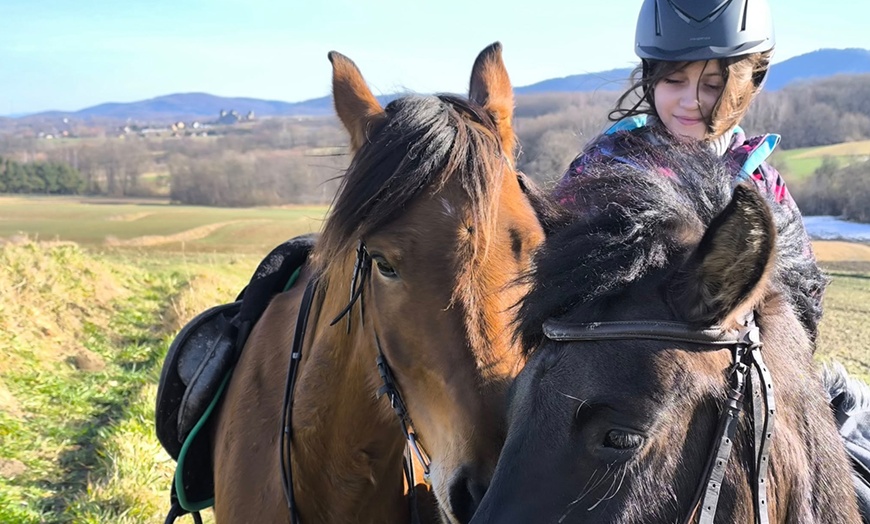 Image 8: Nauka jazdy konnej: jazda indywidualna lub na maneżu