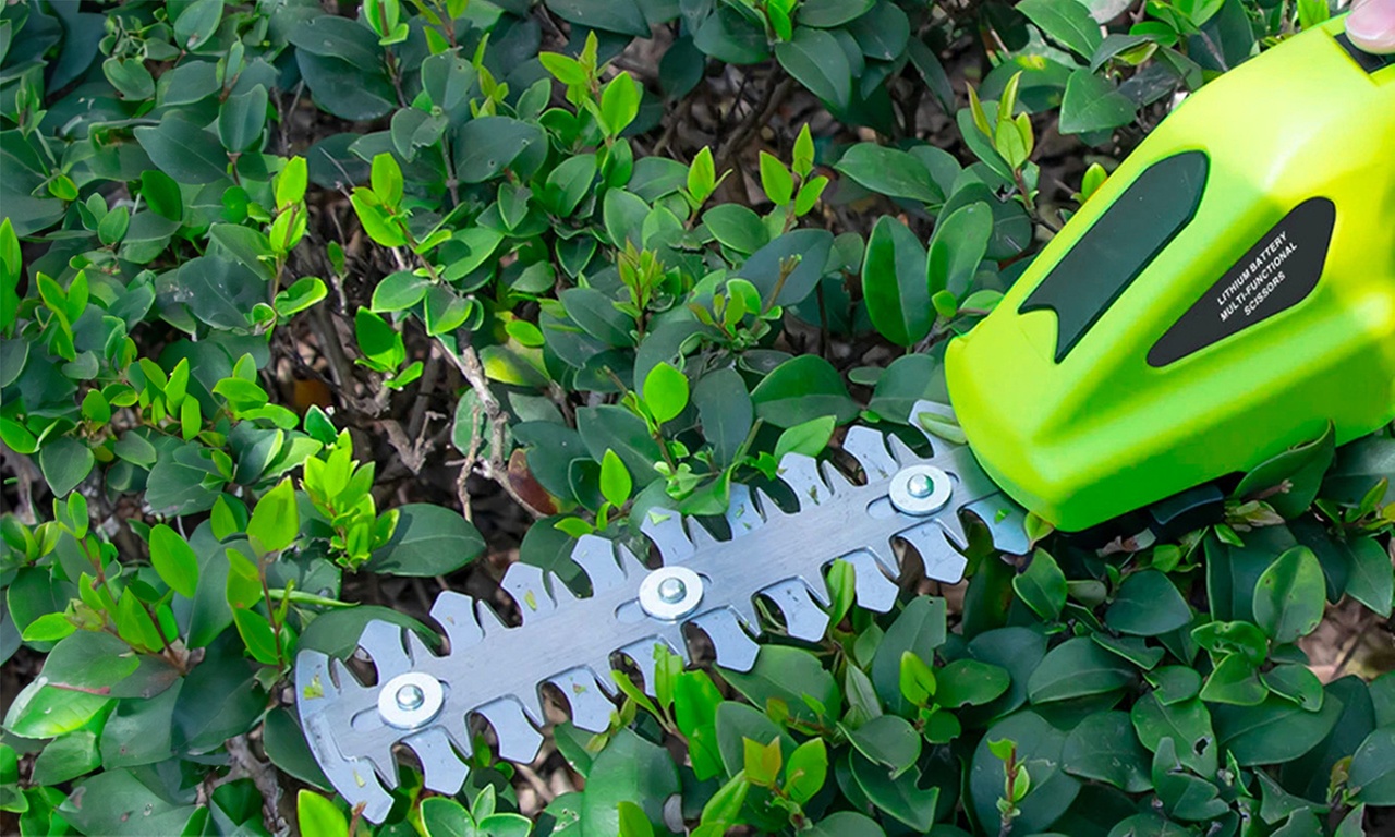 Forbici a Batteria 2 in 1 Workpro