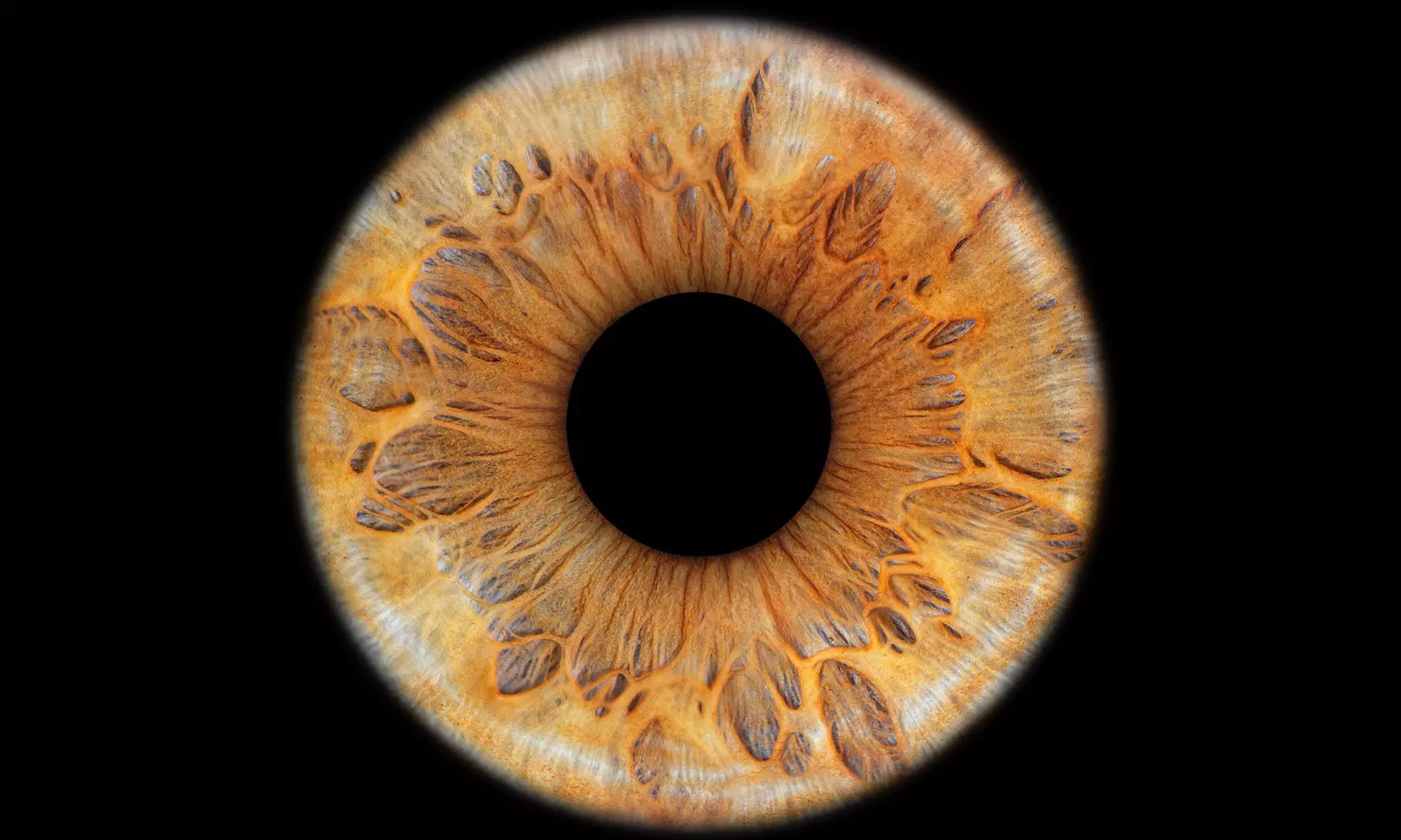 Zdjęcie tęczówki na szkle akrylowym