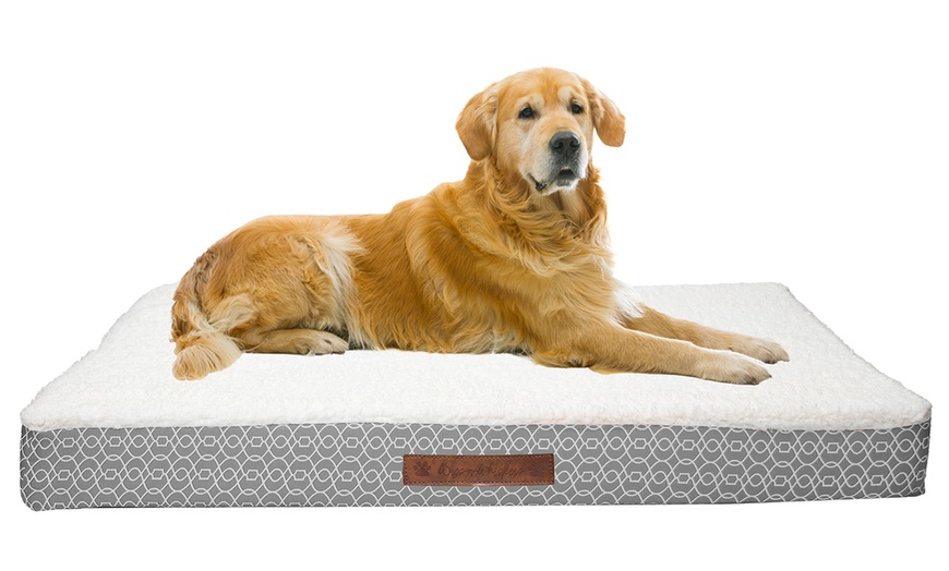 Wags and Whiskers Orthopedic Pet and Dog Bed | Groupon