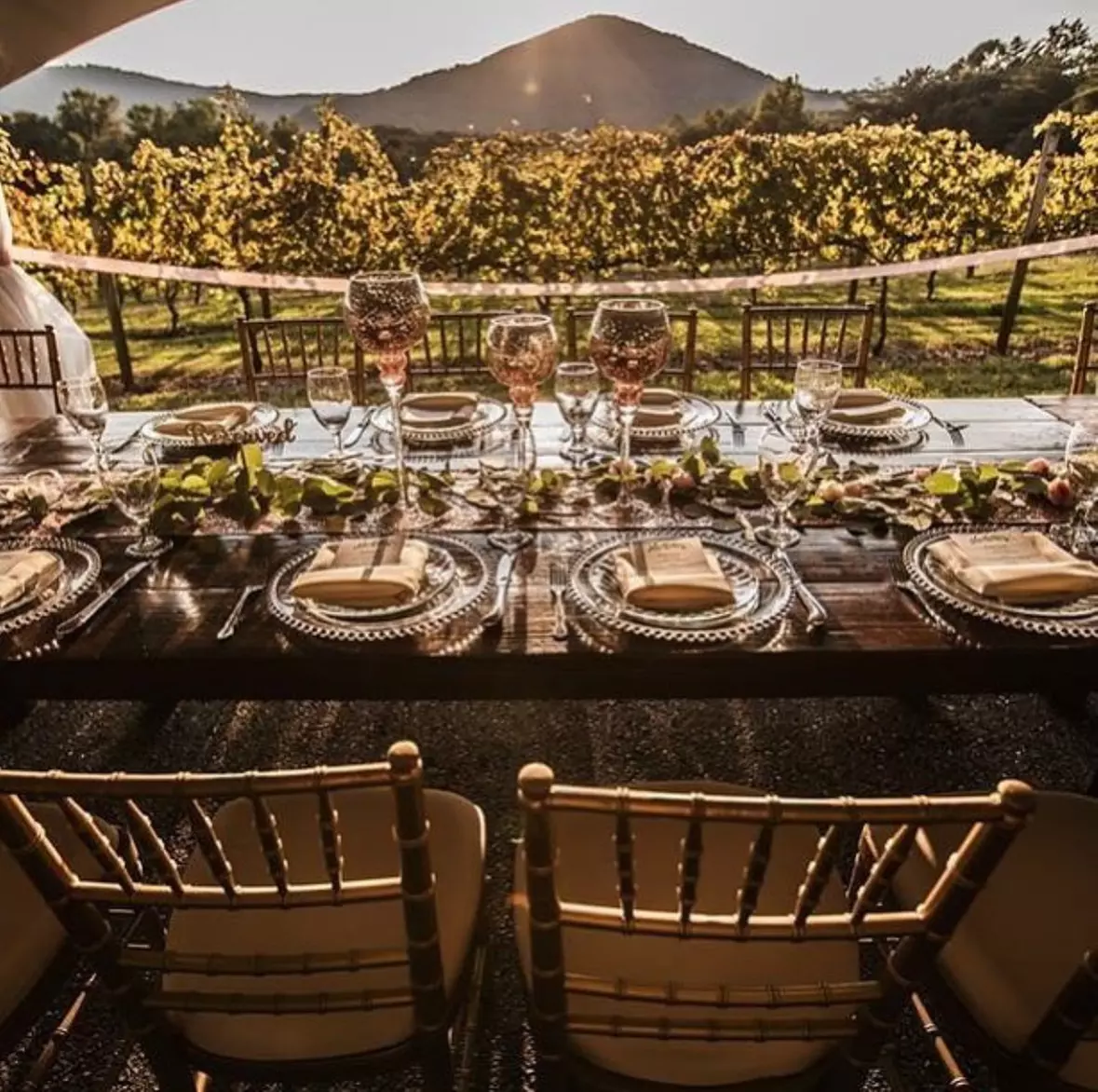 Up to 23% Off on Wine Tasting at Sharp Mountain Vineyards
