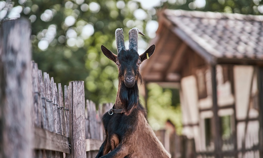 Image 9: Tageskarte Kölner Zoo & Aquarium