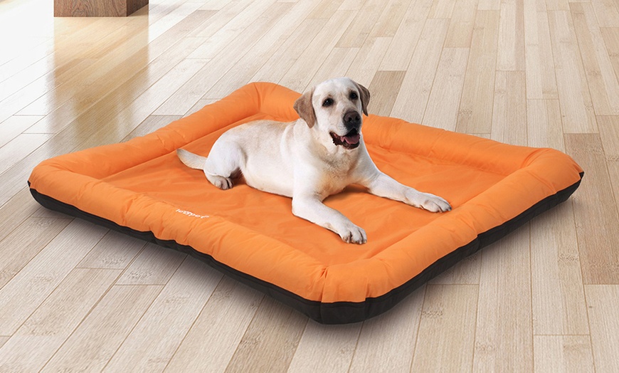 Image 14: Large Flat Dog Beds