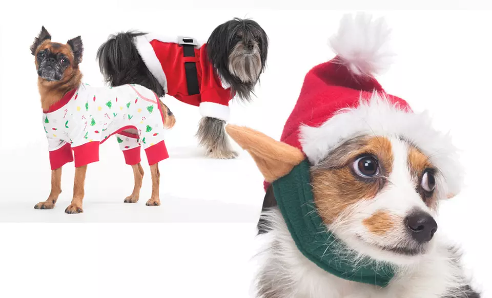 Holiday Dog Costumes. Multiple Styles Available. Free Returns. - Primary Image
