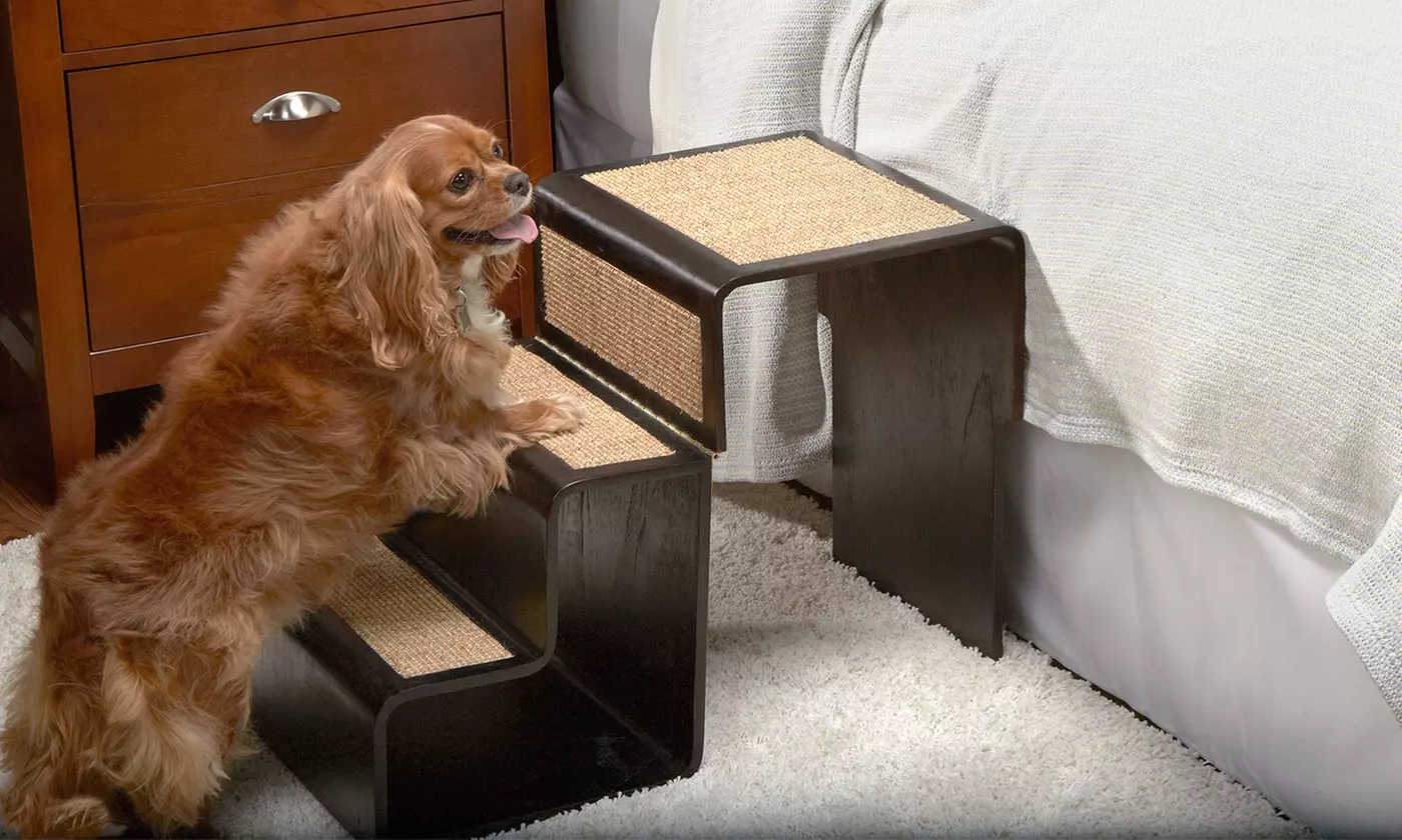 1-2-3 Pet Step - Primary Image