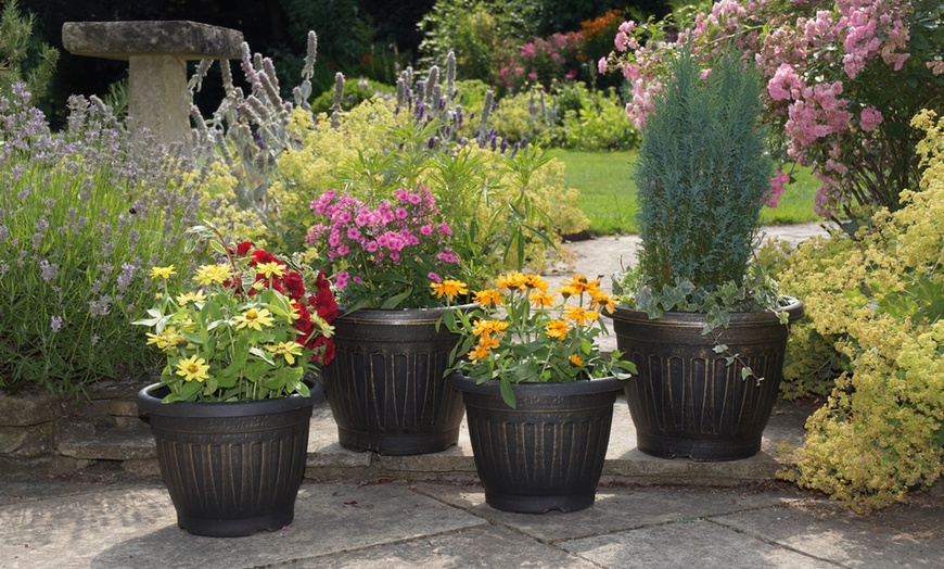 Image 3: Four Georgian-Style Planters