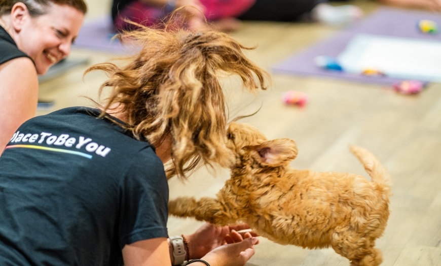 Image 5: Up to 56% Off on Yoga Class at Puppy Yoga Company