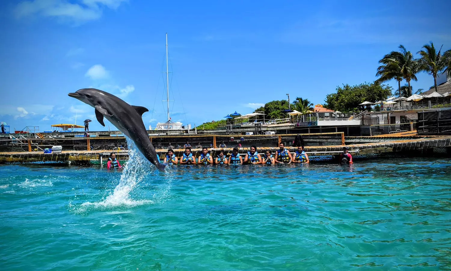 Discover Isla Muj: Royal Swim & Dolphin Encounter Await!