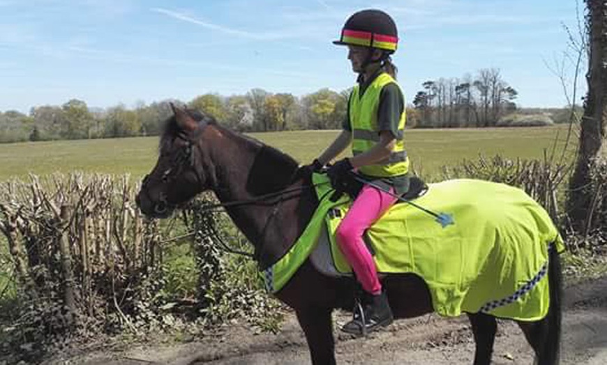 Image 8: Individual or Group Horse Riding