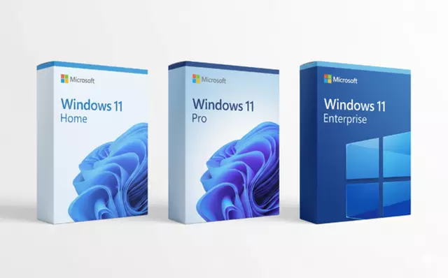 Windows 11 Home, Pro, Enterprise Lifetime Activation Key Download