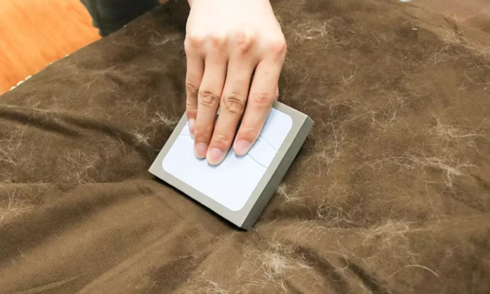 1 ou 2 éponges magiques ramasse poils animaux - Primary Image