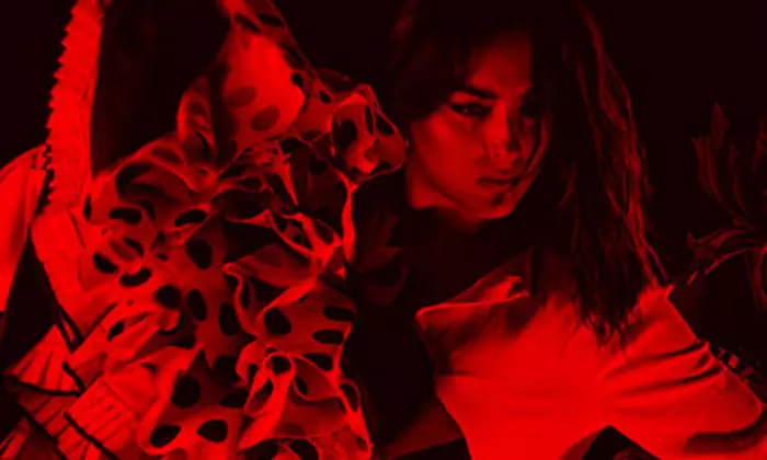 Espectáculo de flamenco para 2 con consumición o cena en La Carmela