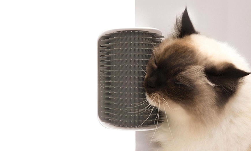 Image 6: One or Two Angle Cat Grooming Brushes