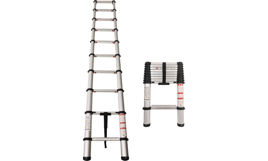 Image 2: Extendable Ladder with a Soft Close Feature