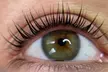47% Rabatt auf Wimpern- u. Augenbrauenlifting bei Permanent Make-Up Alicja Klesk - Second Medium