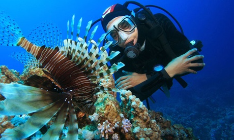 Corso NADD Scuba Diver per una, 2 o 4 persone al centro sportivo Coppa D'Oro (sconto fino a 620,10 €)