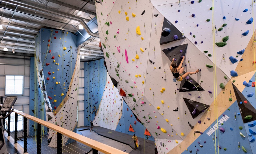 Image 2: Premium Access to 12,000 Sq. Ft. of Climbing, Fitness, Yoga, & More