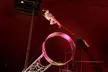 1, 2, 3, 4, or 5 Grand Stand Tickets to Russell's International Circus from April 1 to 15, 2026 (Up to 55% Off) - Second Medium
