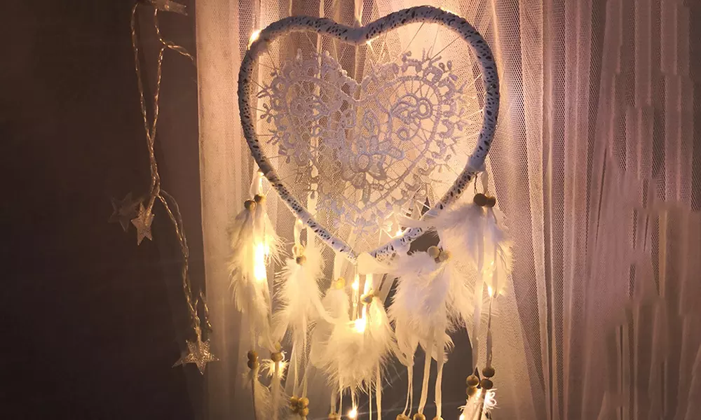 1 of 2 dromenvangers met led-lichtslinger