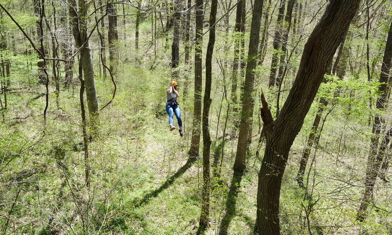 Soar Through the Trees: Canopy Zipline Tour for 1, 2, 4 or 6 People
