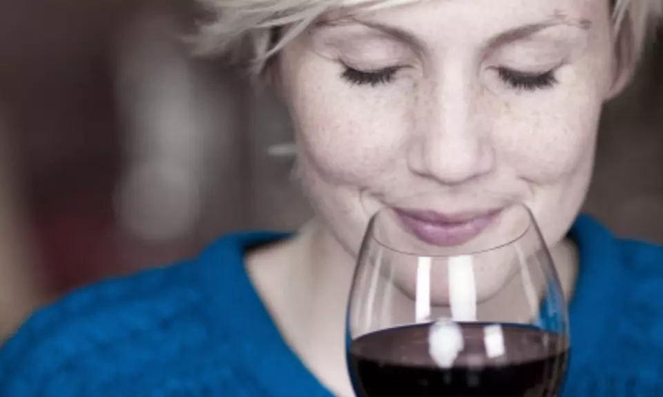 One-Day Wine Appreciation Course with Wine Tasting and Certificate from The Wine College  (40% Off) - Primary Image