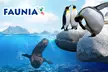 ¡Conoce el mundo animal! Entrada infantil, general o sénior a elegir para Faunia Madrid, ahorra hasta un 49% - Second Medium