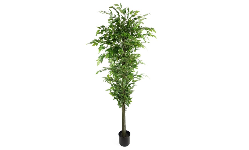 Image 3: Botanik Artificial Ficus Tree Collection