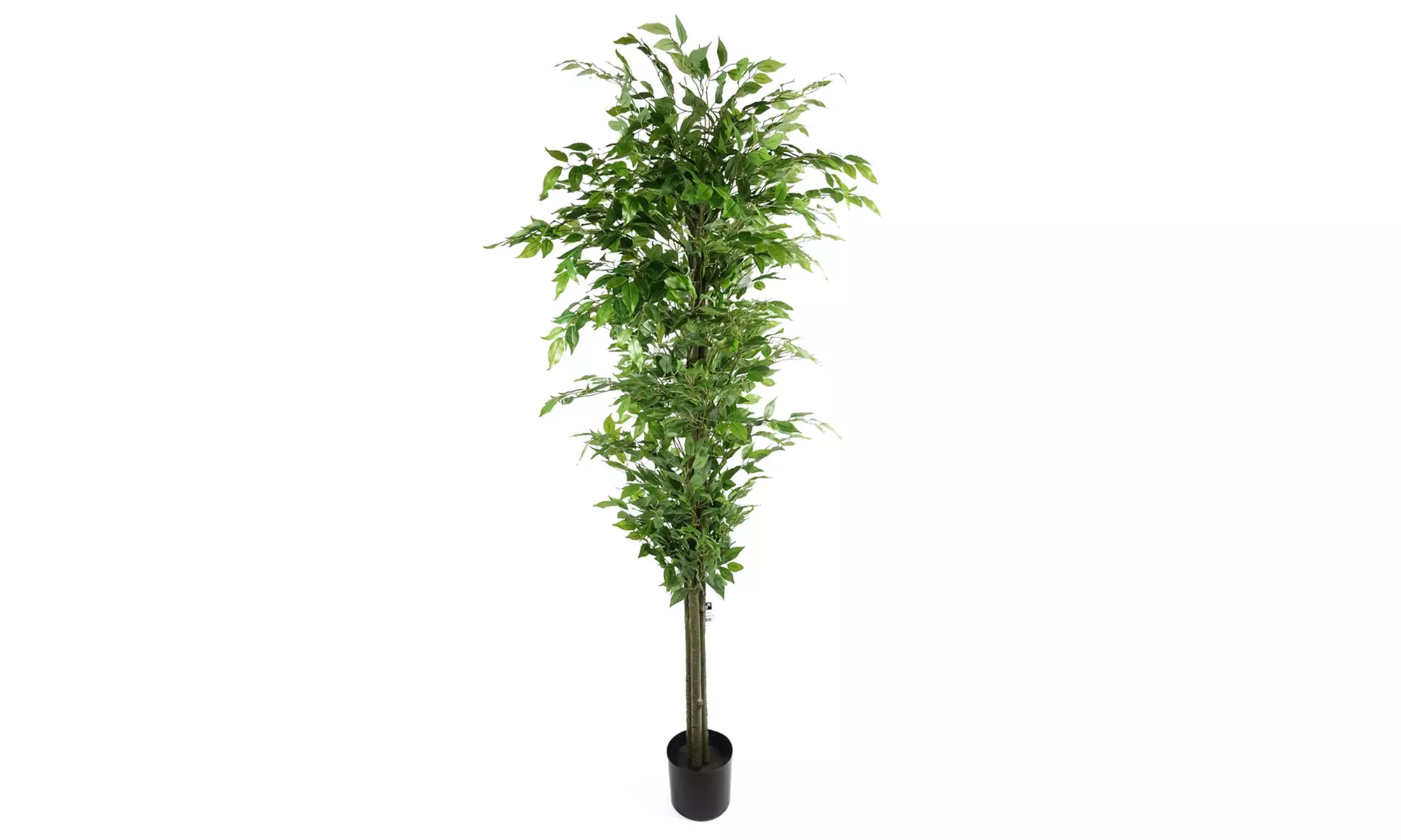 Botanik Artificial Ficus Tree Collection