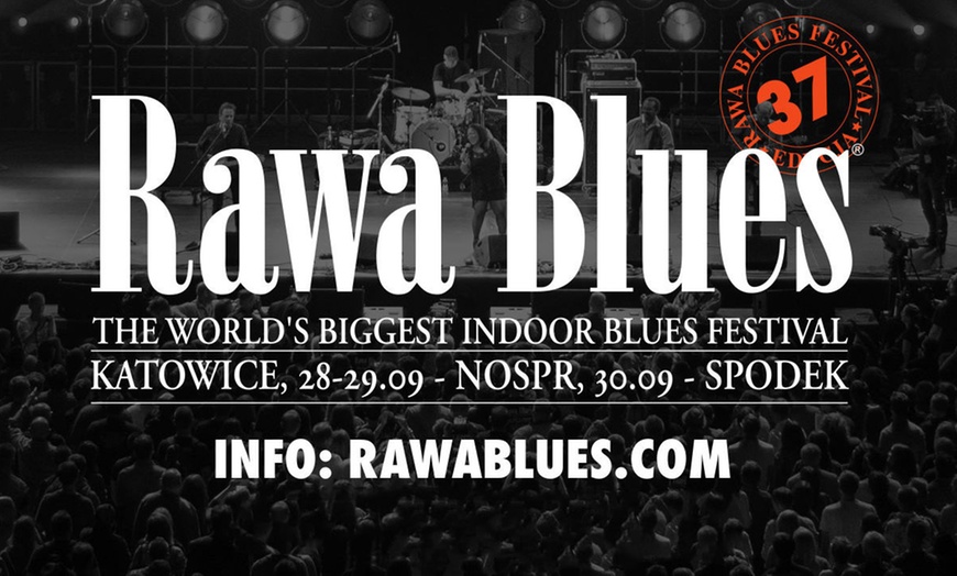 Image 1: Bilet na Rawa Blues Festival