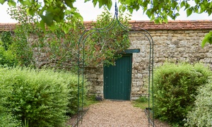 Metal Garden Arch