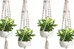 Sorbus Cotton Plant Hanger Set (4-Piece) - Second Medium