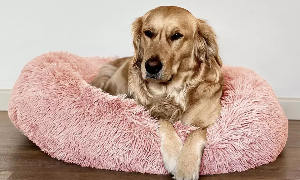 Cuccia extra-soffice per gatti e cani