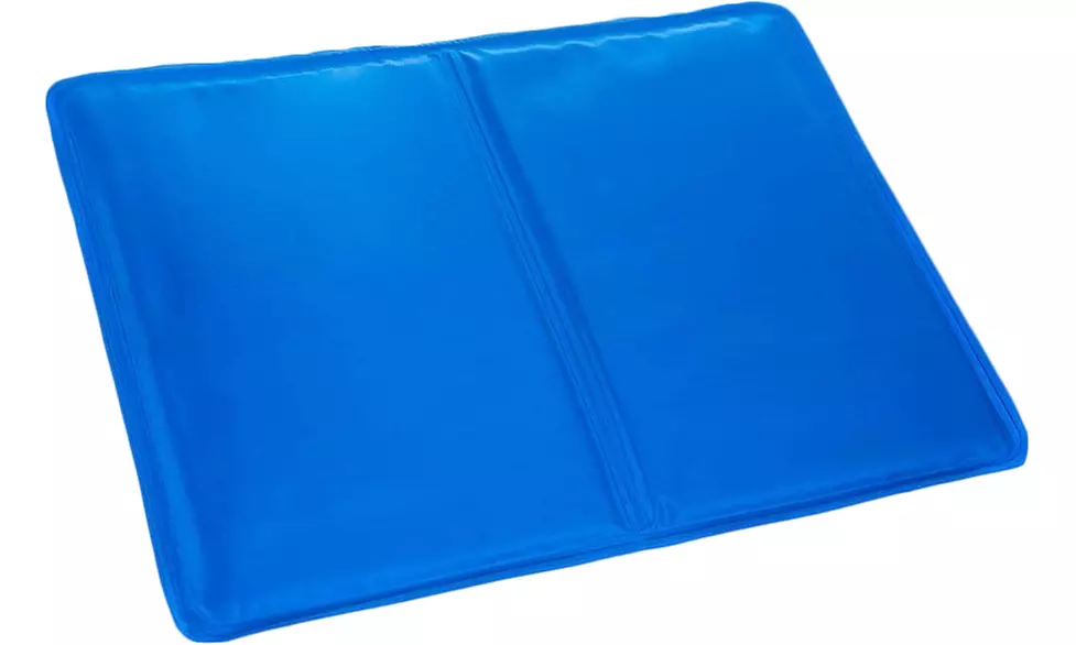 1 o 2 insertos de almohada de gel - Primary Image