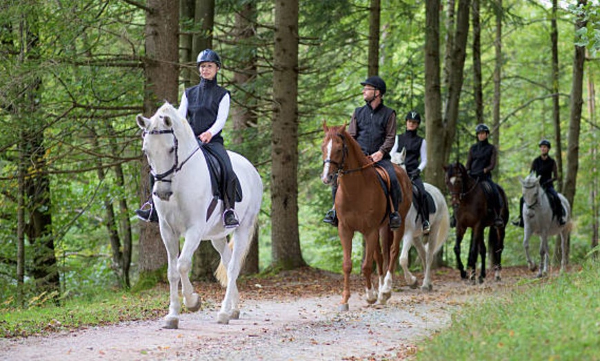 Image 7: Ruta a caballo con comida en plena naturaleza