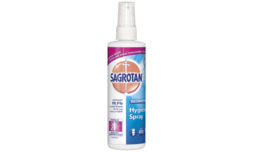 Image 3: Sagrotan Hygiene-Pumpspray