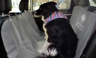 image for American Kennel Club Back Seat Cover