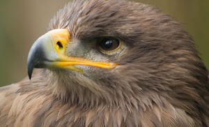 Entree Dierenpark De Oliemeulen