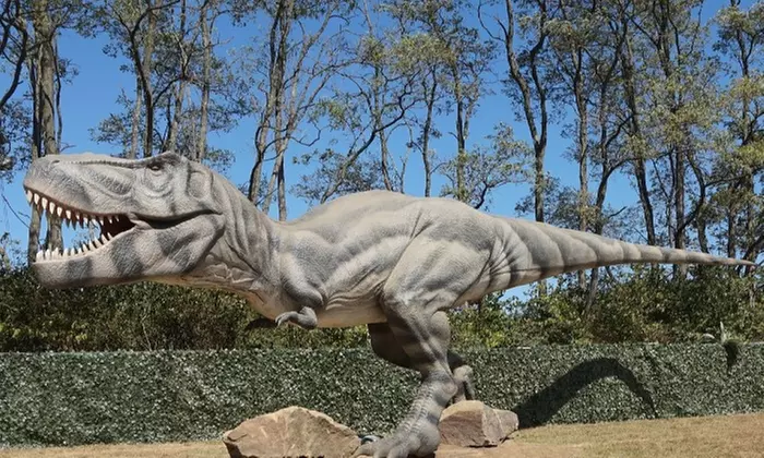 Admission for Four to Dino Park (Up to 22% Off). 11 Options Available. - Second Medium