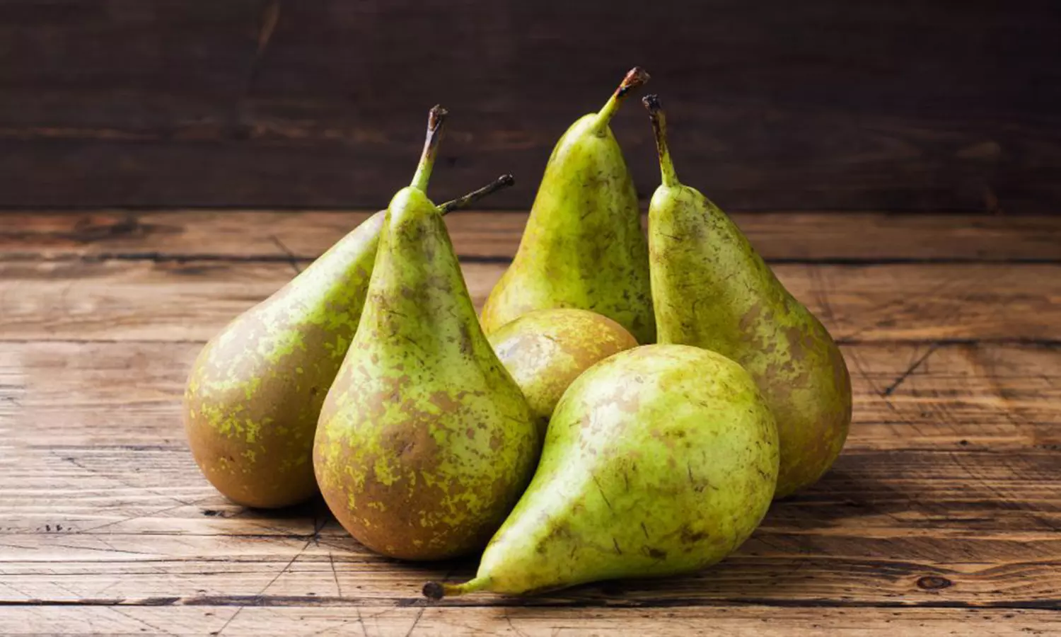 Patio Fruit Trees - Apple, Cherry, Pear, or Plum - Potted Plants