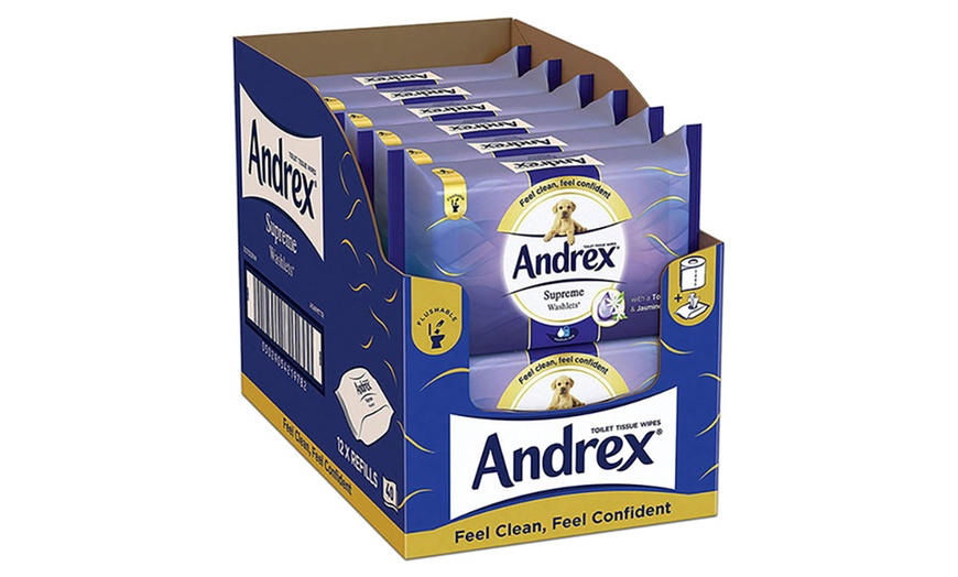 Image 2: Andrex Flushable Wipes
