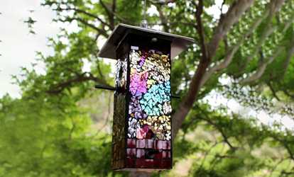 Droll Yankees 344547 Am O Ant Moat Hummingbird Feeder Accessory