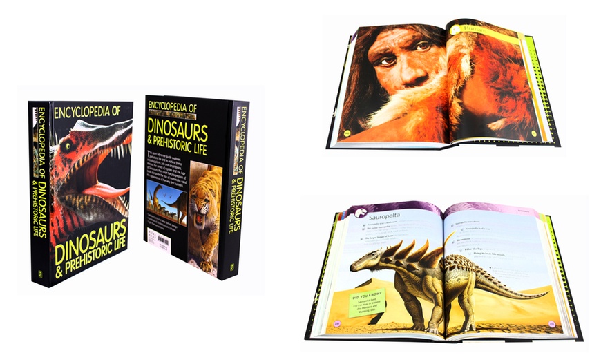 Image 1: Dinosaurs and Prehistoric Life Book