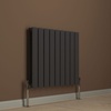 Image 5: Double Horizontal Radiator 