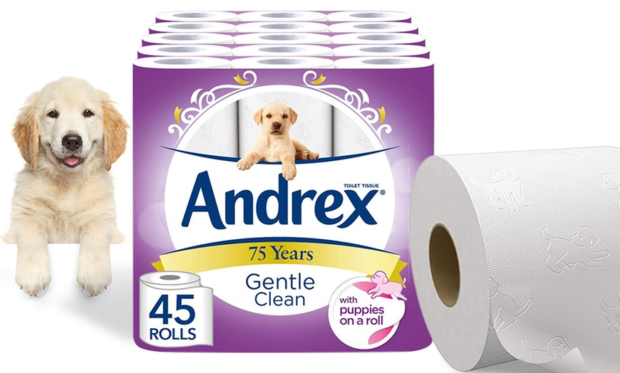 Image 3: Rolls of Andrex Gentle Clean Toilet Tissues