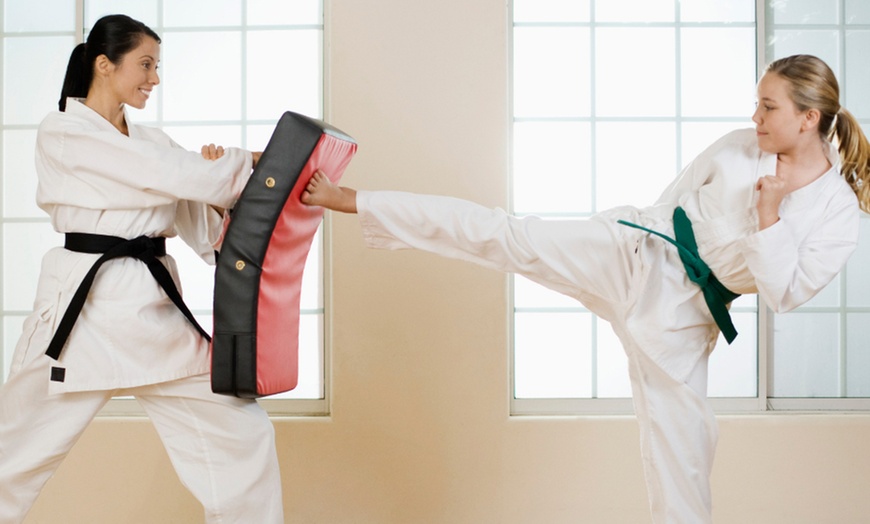 Image 2: Family MMA and Self-Defence Class